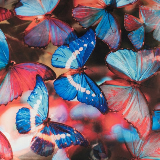 Látka viskóza twill bledomodrá hladká motýle vzor 0,5m