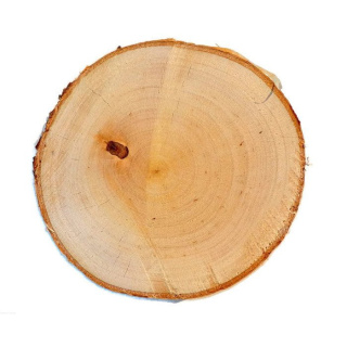 Drevený plát breza obrúsený 3-5cm 2cm