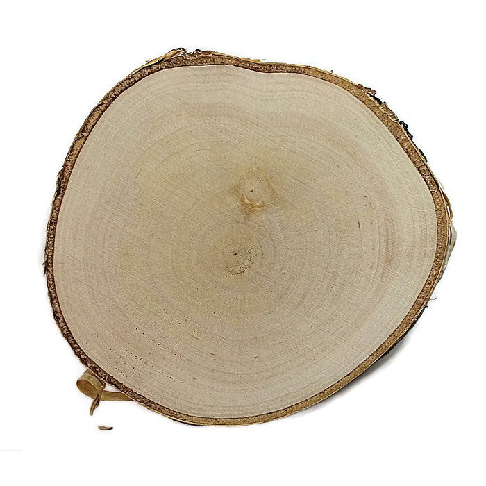 Drevený plát breza obrúsený 10-12cm 1cm megamix.sk