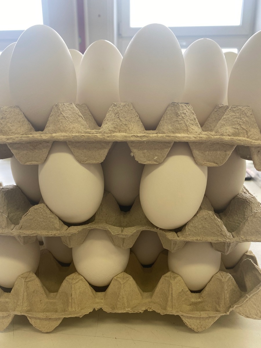škrupiny husacích vajec vyfúknuté na zdobenie veľkonočné vajíčka kraslice megamix.sk