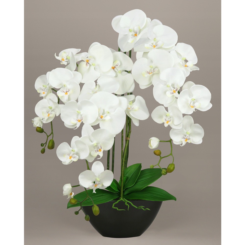 umelá orchidea kvet orchideje 70cm megamix.sk