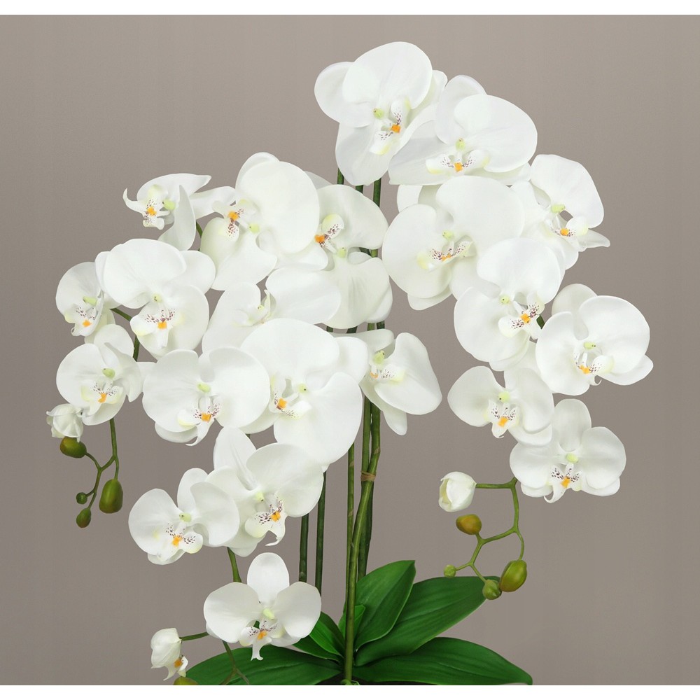 umelá orchidea kvet orchideje 70cm megamix.sk