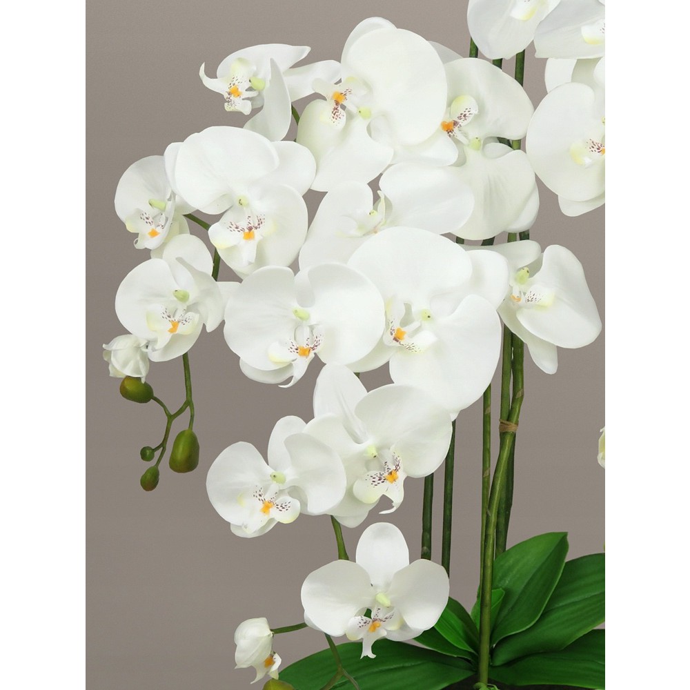 umelá orchidea kvet orchideje 70cm megamix.sk