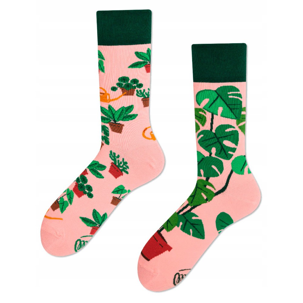 veselé ponožky PLANT LOVER rastliny kvetináče 35-38 farebné megamix.sk